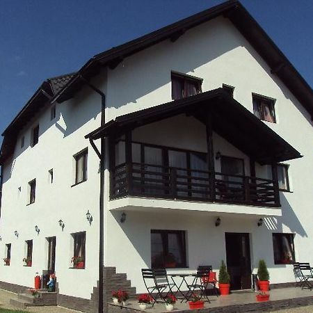 Pensiunea Vasilica Ceterasu Onceşti Exterior foto