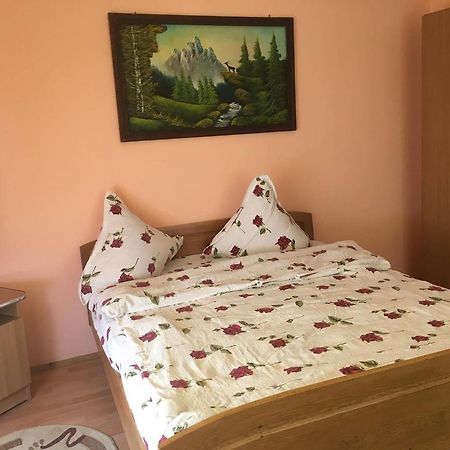 Pensiunea Vasilica Ceterasu Onceşti Exterior foto