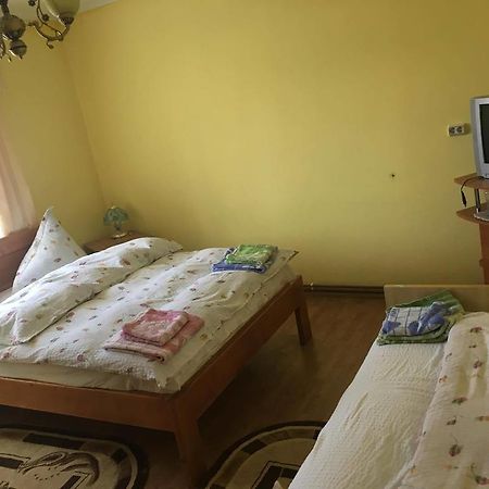 Pensiunea Vasilica Ceterasu Onceşti Exterior foto
